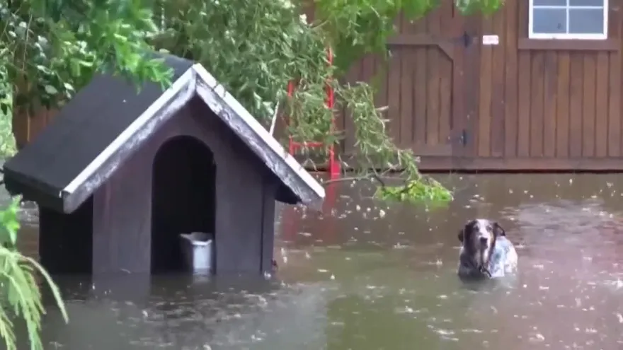 Florence deja ríos a punto de desbordarse, ciudades cercadas y 15 muertos