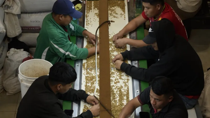 El evento se ha consolidado como una plataforma de visibilidad internacional y desarrollo local