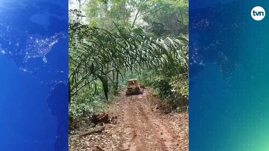 Ministro Ambiente se pronuncia sobre carreteras ilegales en Punta Patiño