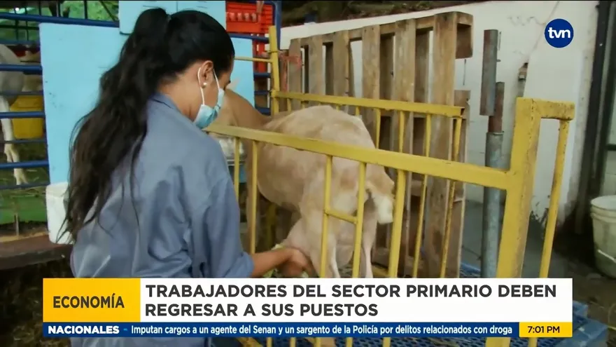 Trabajadores del sector primario regresarán a sus puestos de trabajo este 1 de junio