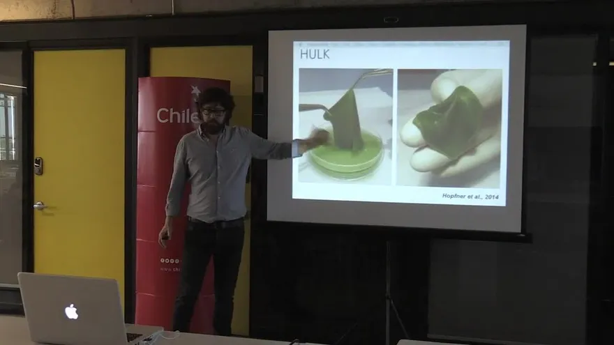 Científicos chilenos crean piel “fotosintética”, regenera tejido