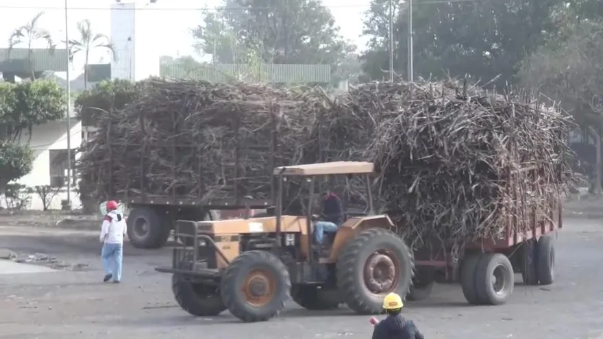 Bolivia producirá su propio bioetanol para mejorar la calidad del combustible