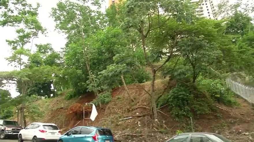 Fuertes vientos provocan caída de árboles