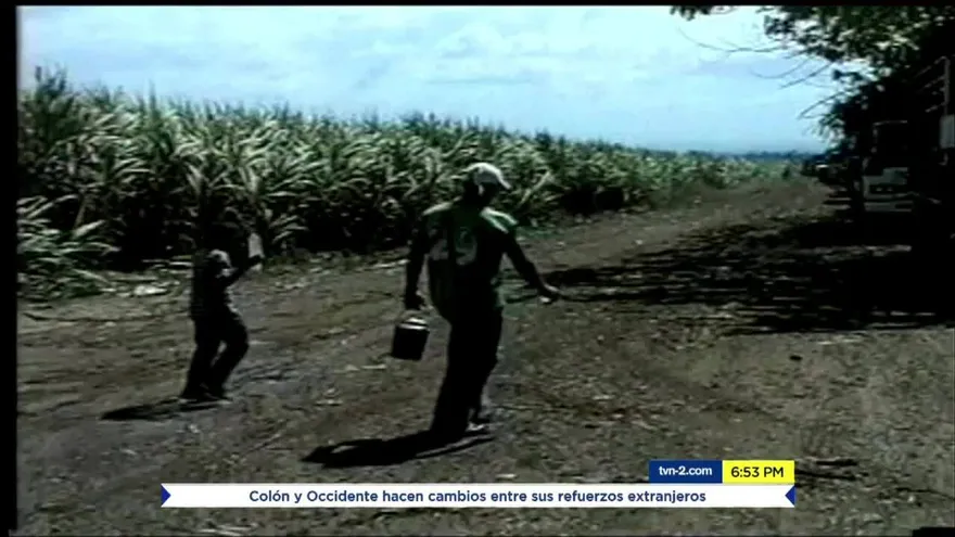 Brindan informe sobre trabajo infantil en Panamá