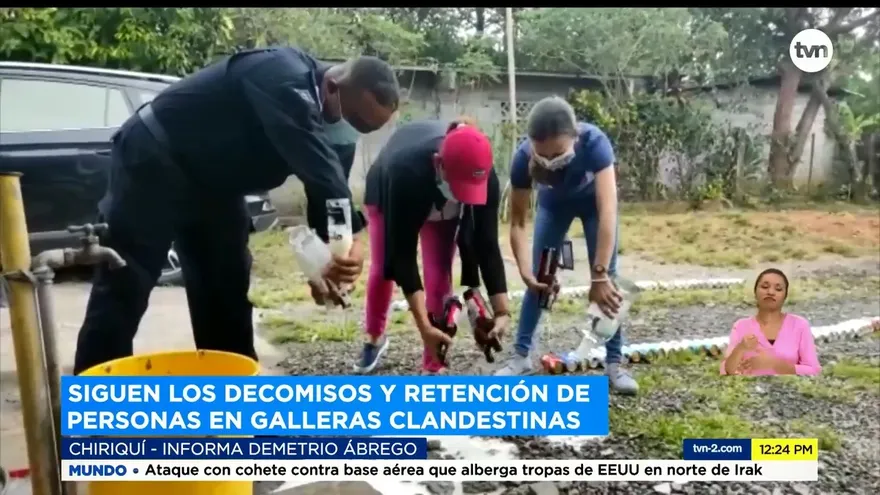 Siguen operativos contra galleras clandestinas