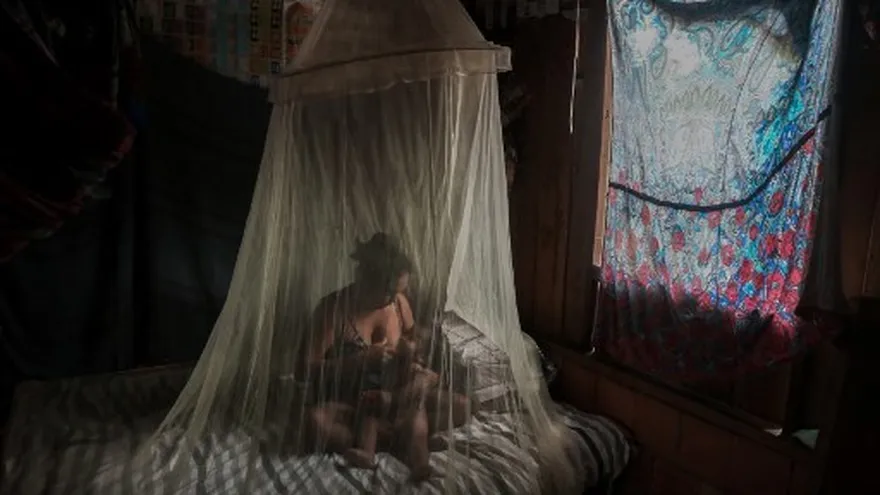 Pandemia aumenta riesgo de muerte por enfermedades trasmitidas por mosquitos, dice OPS