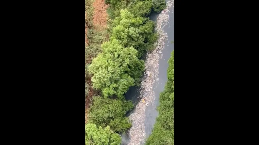 Captura de video donde se observa gran cantidad de basura en el río Matías Hernández
