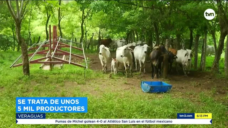 Bajo porcentaje de producción nacional asegurada