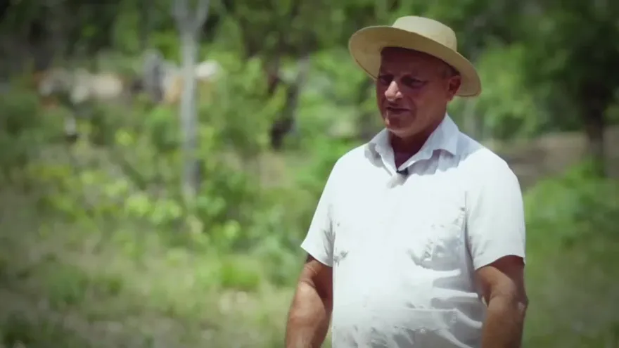 TVN Investiga: Reforestar, plantar vida