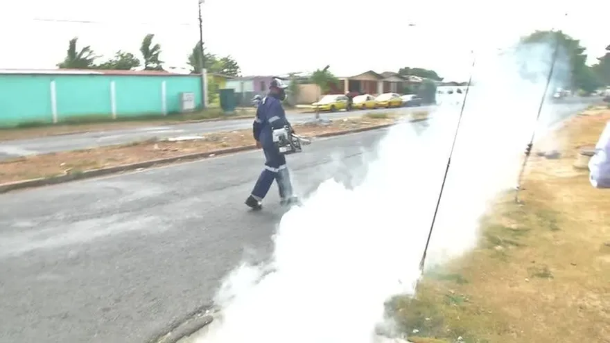 Zika llega a Panamá Oeste