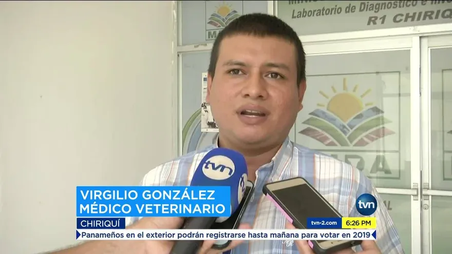 Médicos veterinarios inician paro en Chiriquí