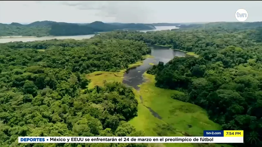 Mundo Verde: Humedales