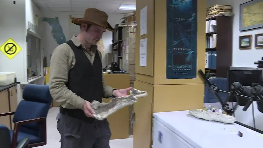 Fósiles narran el momento en que un asteroide cambió la Tierra