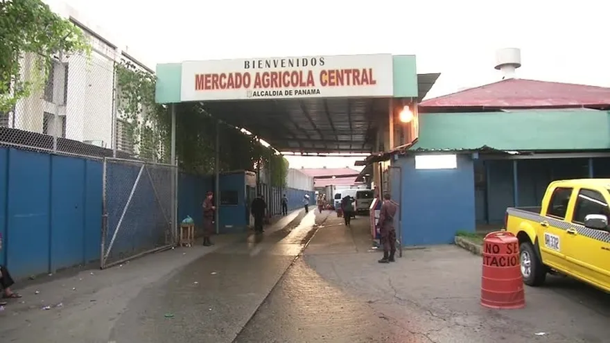 Productores cuestionan importación de cebolla