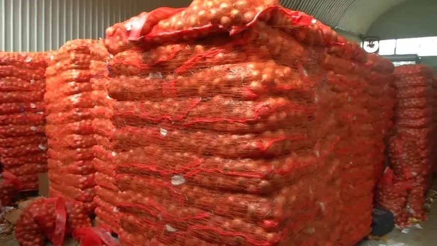 Decomisan cebollas en mal estado