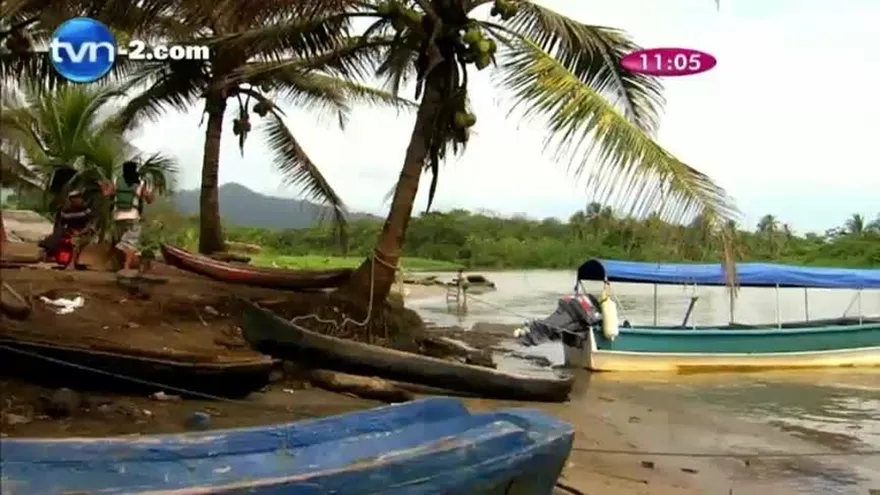 Festival de tortugas Marinas