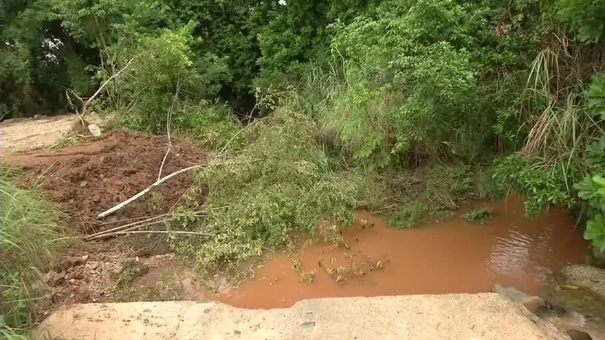 Devastan flora y fauna en Tocumen