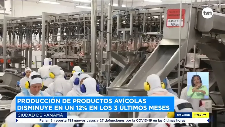 Producción de pollo disminuye 12%