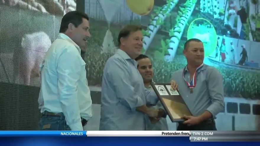 Pequeños porcinocultores están preocupados