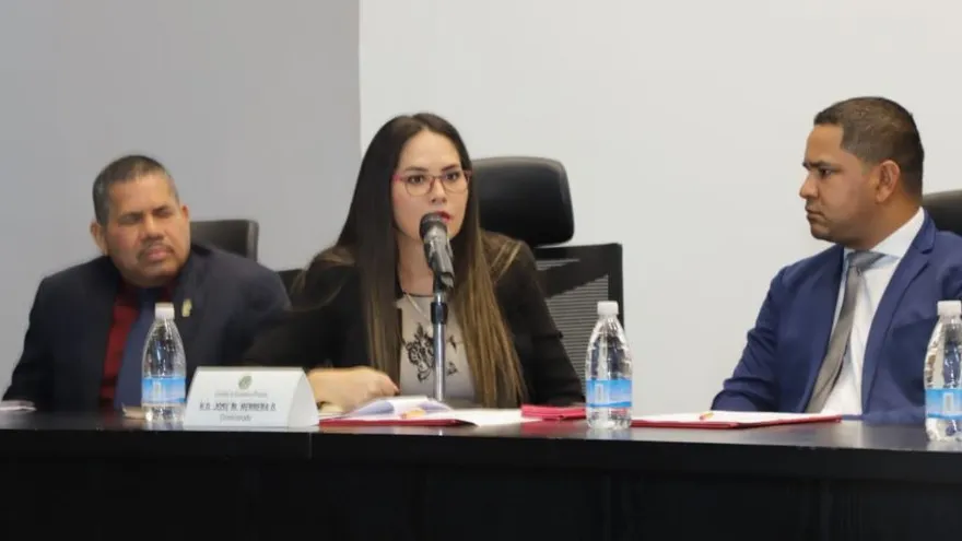 Pasa a segundo debate iniciativa que impulsa medidas económicas ante pandemia del COVID-19. Foto/Asamblea Nacional