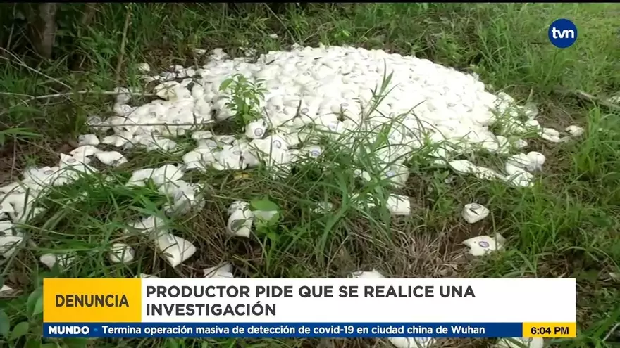 Investigan quesos con logo de Panamá Solidario desechados en un potrero