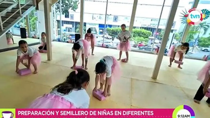 Summer Camp:  Opciones de verano