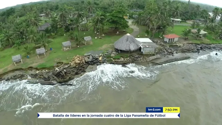 Técnicas para fortalecer las costas del Caribe