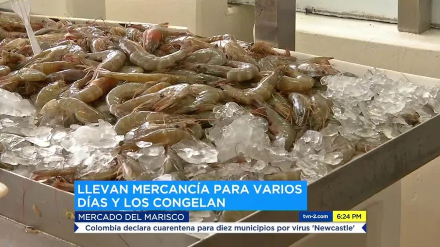 Aumenta la venta de productos del mar en Mercado del Marisco