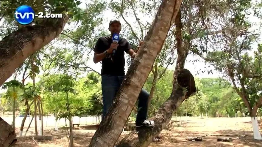 LO QUE NO DEBEMOS HACER EN SEMANA SANTA