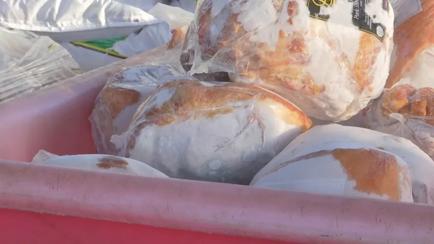 Jamón del IMA en las Naviferias.