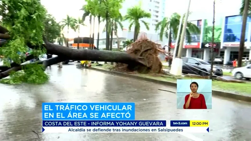 Caída de árboles en Costa del Este y Juan Díaz