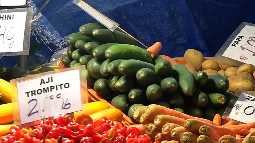 Rubros alimenticios podrían ser afectados por la falta de lluvia
