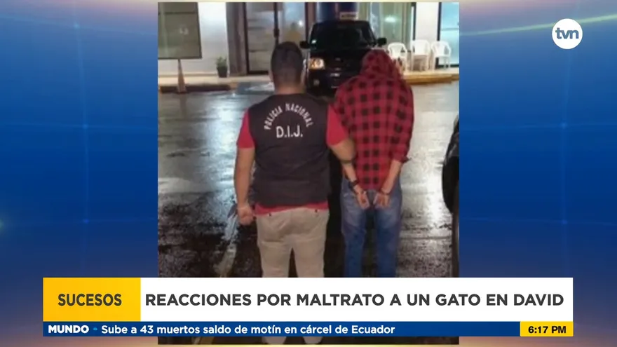 Reacciones por el caso de maltrato animal en Chiriquí