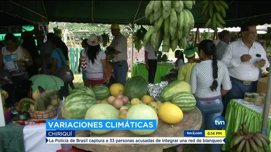 Problemas en la producción de frutas en Chiriquí