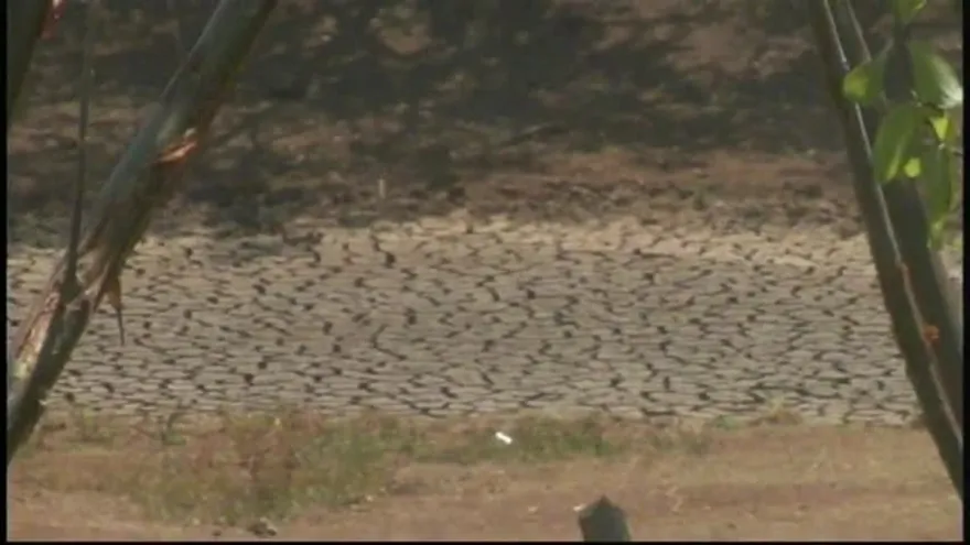 Grave sequía en comunidades de la provincia de Los Santos