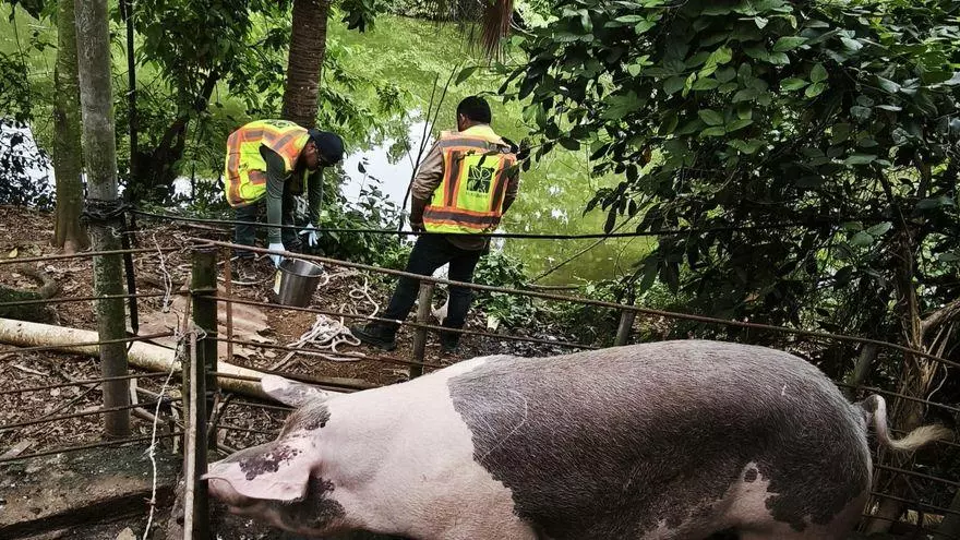 Verifican niveles de contaminación en un río de la región de Azuero.