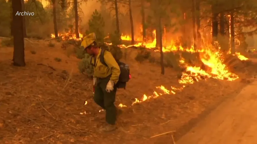 Compromisos climáticos están "muy lejos" de limitar el calentamiento global