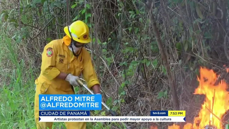 Daños ambientales por los incendios forestales