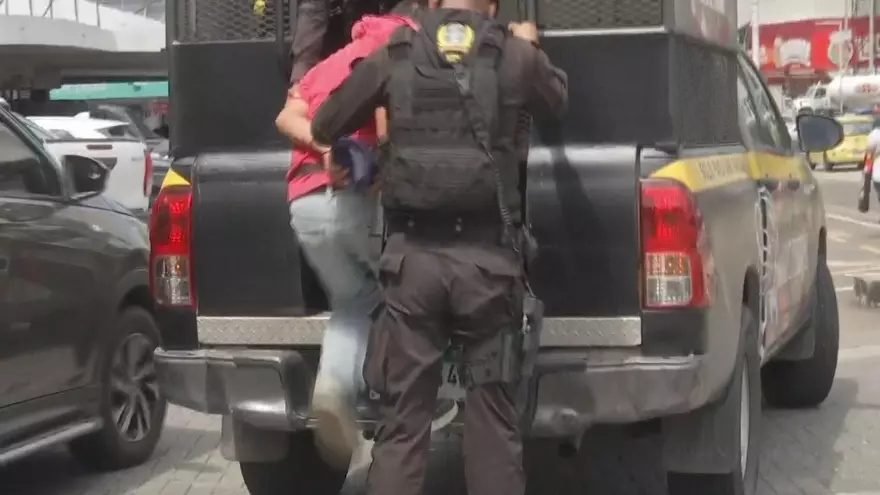 213 bien cuidado han sido procesado por el Municipio de Panamá.