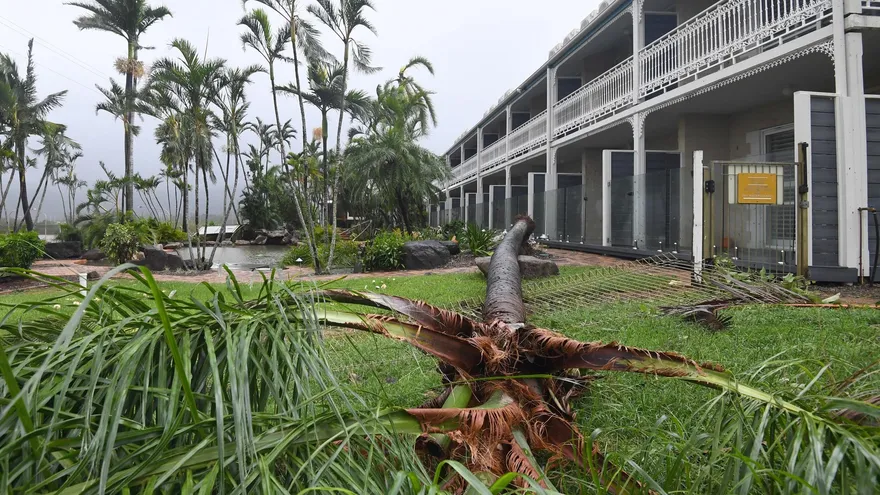 Vista de una palmera caída junto a un hotel hoy, martes 28 de marzo de 2017, en Airlie Beach, en Queensland