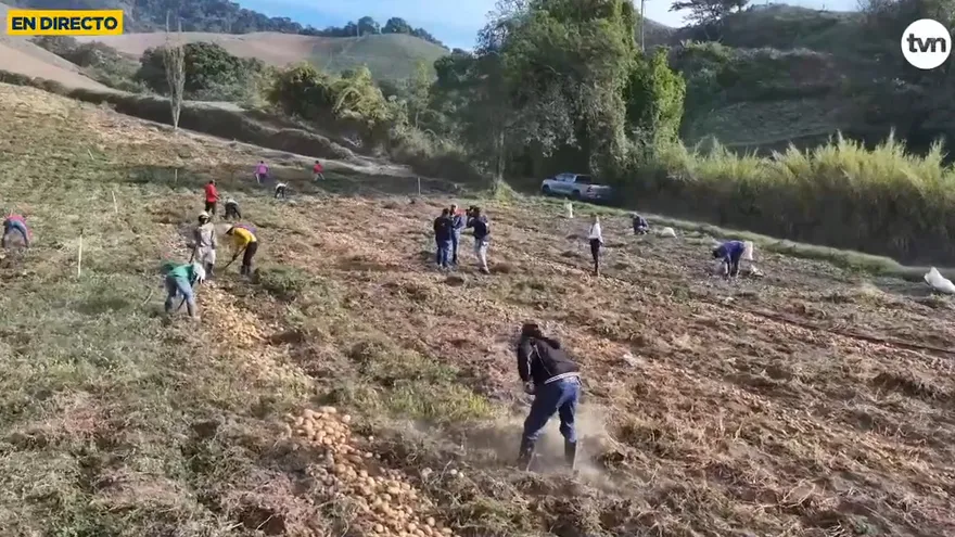 Productores en Tierras Altas hablan de la realidad del sector agropecuario