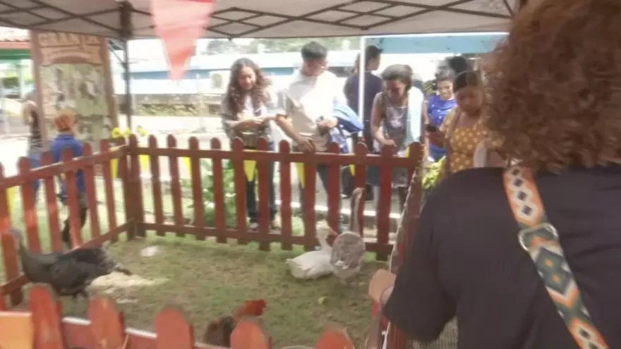 IPHE celebra jornada familiar por la inclusión