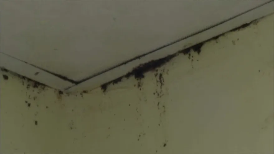 Mal estado en escuela