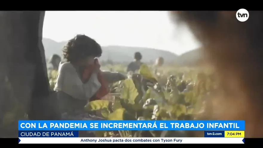 Pandemia puede incrementar el trabajo infantil