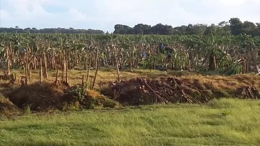 Lluvias y oleajes afectan la provincia de Bocas del Toro