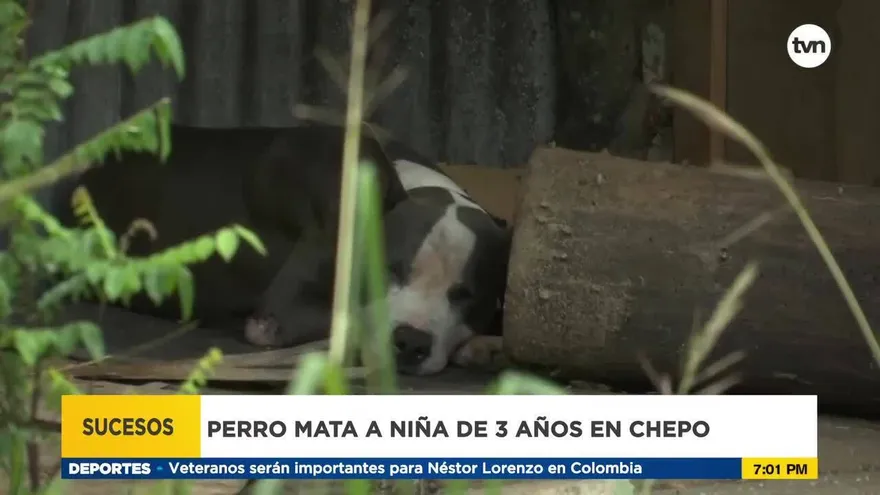 Perro mata a una niña de 3 años