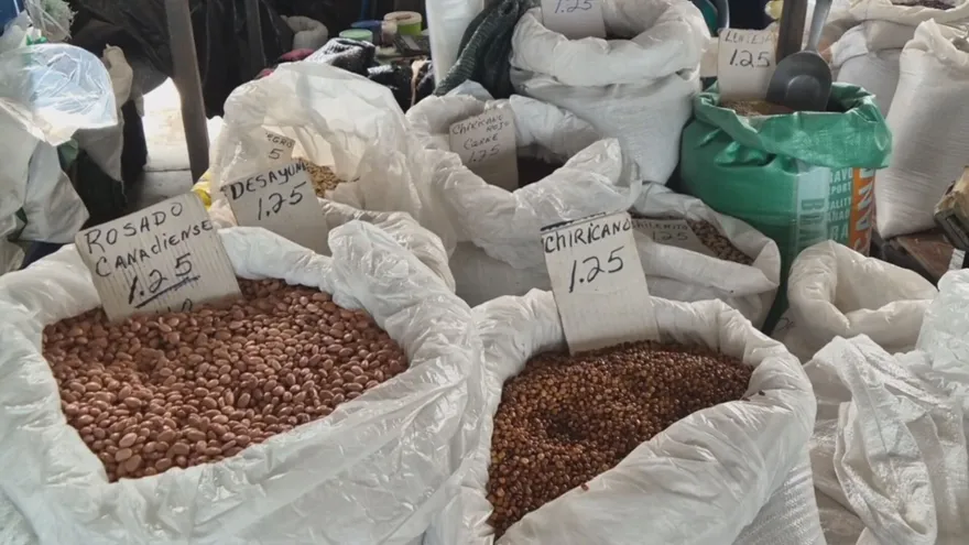 Existen varios tipos de frijol chiricano