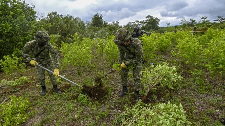 Cocaleros liberan a 180 militares colombianos.