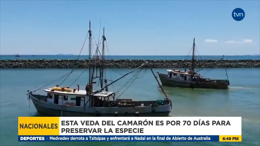 Inicia la veda del camarón el 1 de febrero