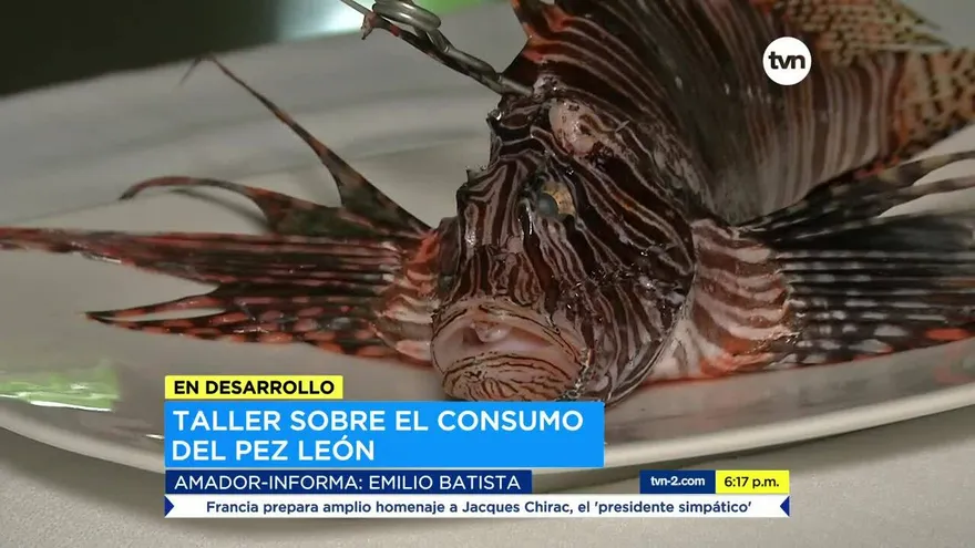 Realizan taller sobre el consumo del pez León